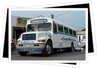 Guanajuato bus