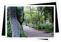 Guanajuato park